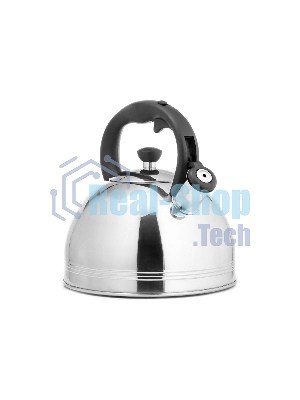 Чайник для плиты металлический Lara LR00-64, (матовый) 4 л, автоподъем крышки, индукционное капсулированное дно, нейлон. ручка