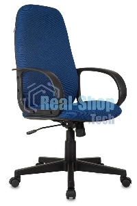 Кресло руководителя Бюрократ CH-808AXSN/TW-10 синий TW-10
