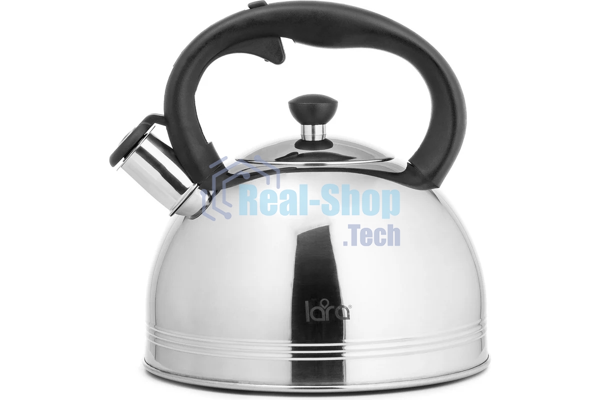 Чайник для плиты металлический Lara LR00-64, (матовый) 4 л, автоподъем крышки, индукционное капсулированное дно, нейлон. ручка
