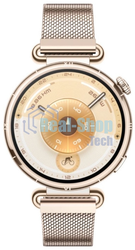 Умные часы Huawei GT 6 KSU-B19 55020FVW золотой
