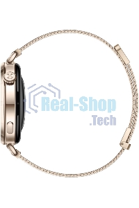 Умные часы Huawei GT 6 KSU-B19 55020FVW золотой