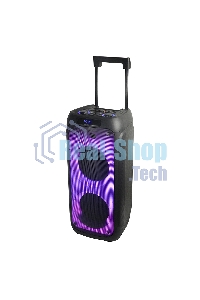 Колонка ELTRONIC 10