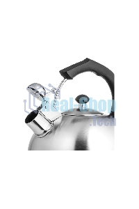 Чайник для плиты металлический Lara LR00-06 (матовый) 4.0 л, индукционное дно 0.3 мм