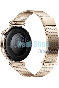 Умные часы Huawei GT 6 KSU-B19 55020FVW золотой