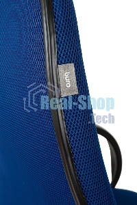 Кресло руководителя Бюрократ CH-808AXSN/TW-10 синий TW-10