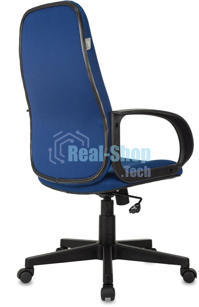 Кресло руководителя Бюрократ CH-808AXSN/TW-10 синий TW-10