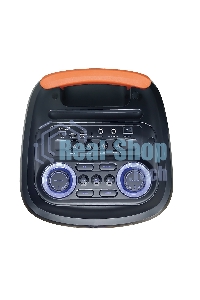 Колонка ELTRONIC 10