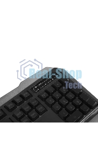 Клавиатура проводная A4Tech Bloody B310N черный USB Multimedia for gamer LED (подставка для запястий) (B310N)