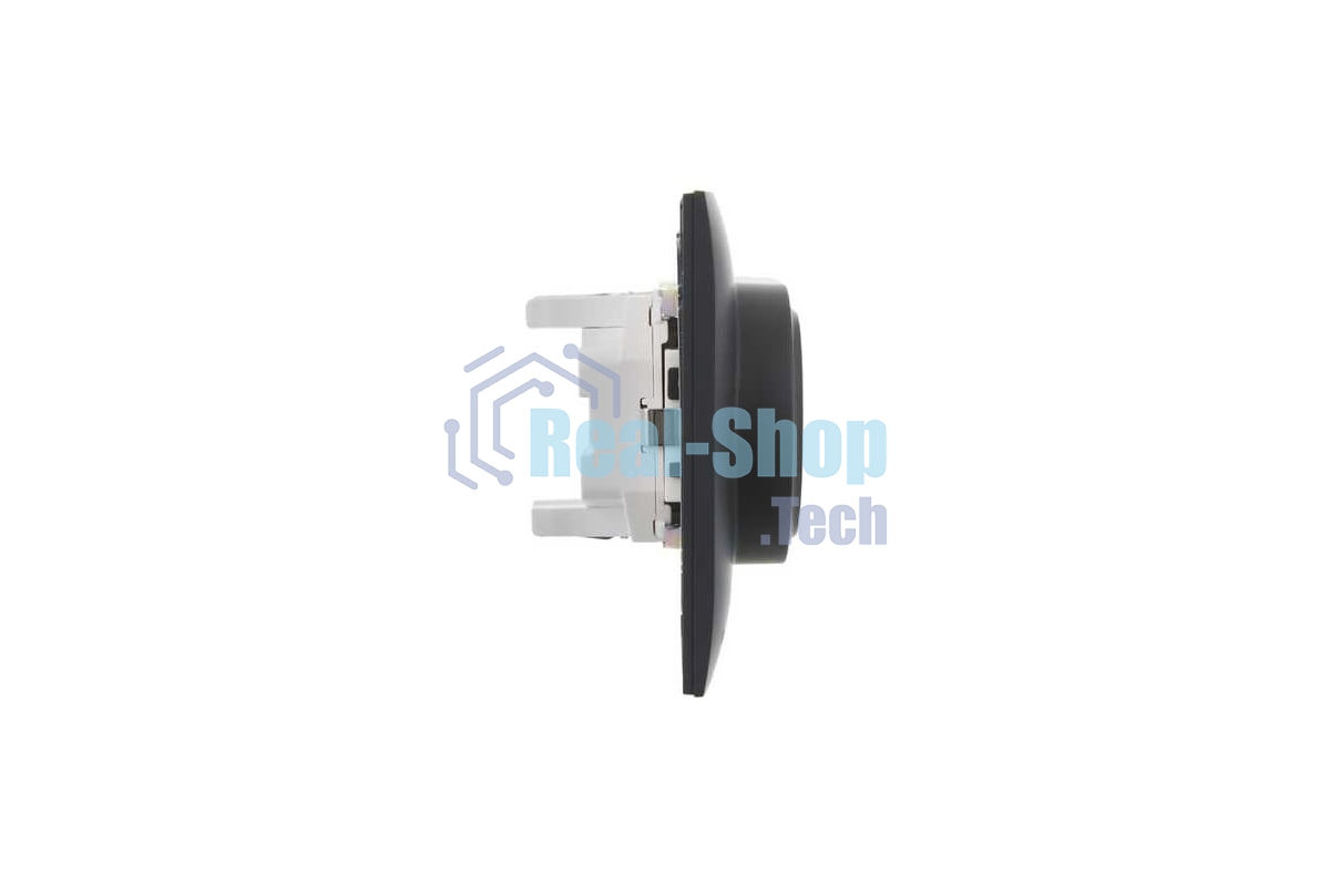 Розетка 2-м IEK SKANDY SK-R07G графит SK-R24-16-K53-F 16А с заземл. защ. штроки в сборе