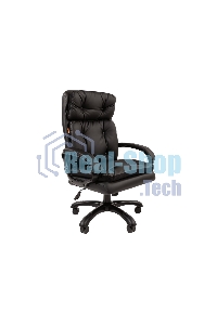 Кресло офисное Chairman 442 экопремиум черный (черный пластик)