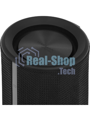 Портативная аудио колонка Xiaomi Bluetooth Speaker (QBH4275GL)