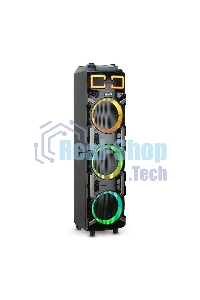 Колонка ELTRONIC 10