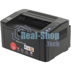 Принтер лазерный Pantum P2500NW, A4, ч/б, печ. до 22 стр/мин., 1200 x 1200 dpi, USB, RJ-45, Wi-Fi, Air Print