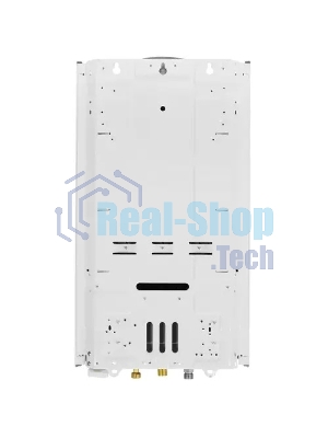 Колонка газовая Thermex G 20 D Eco белый