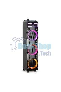 Колонка ELTRONIC 10