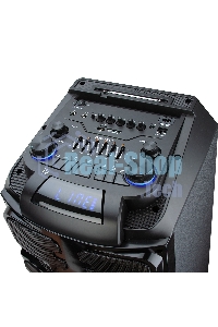 Колонка ELTRONIC 10