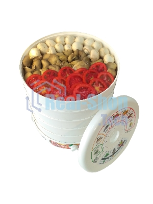 Сушилка для овощей и фруктов Renova DVN31-500/5(R)