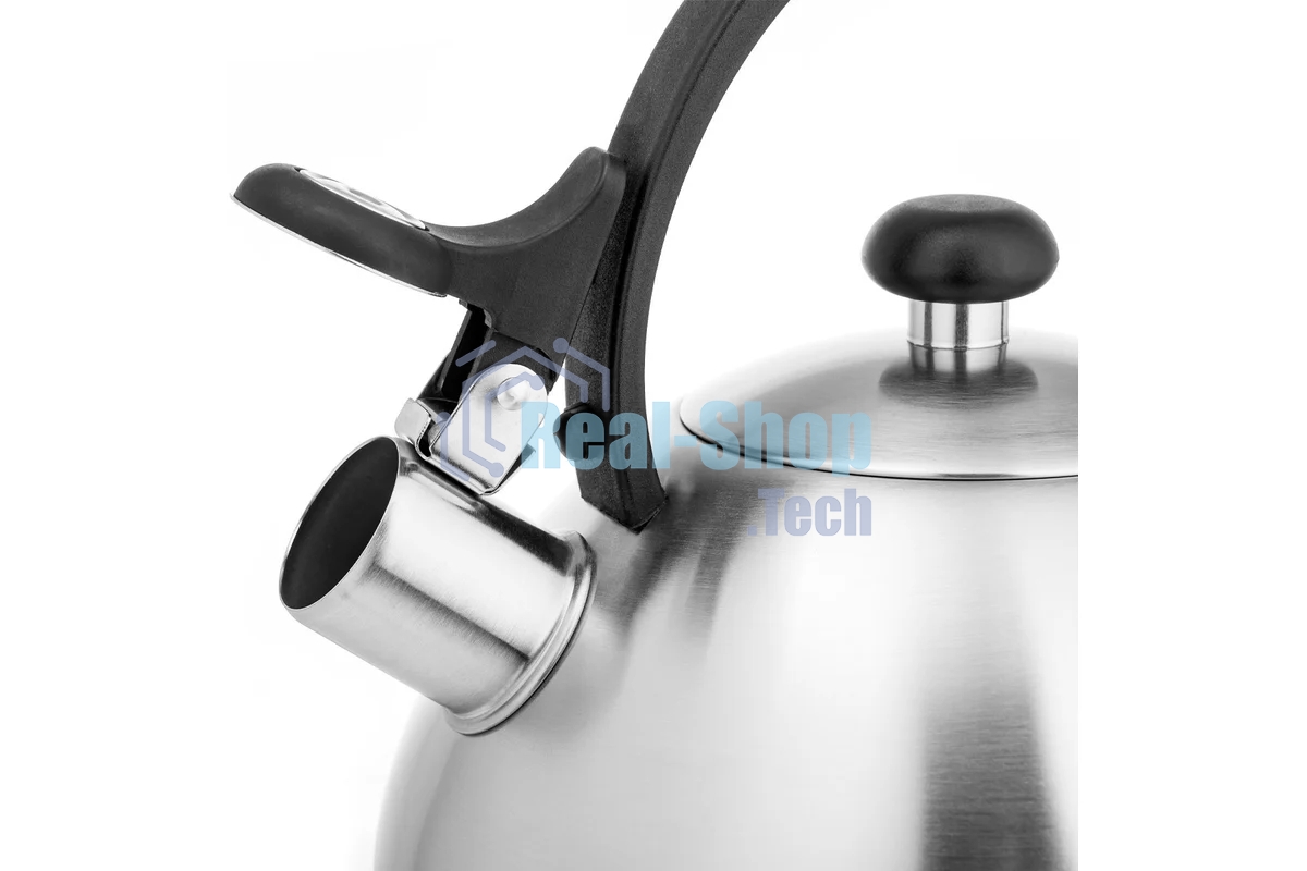 Чайник для плиты Lara LR00-65, нержавейка, матовый, 2,5 л, индукце капс дно, нейлон.ручка