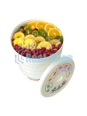 Сушилка для овощей и фруктов Renova DVN31-500/5(R)