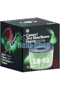 Умная колонка Sber Boom Home SBDV-00171VB Салют св.зеленый 8W Mono BT/Wi-Fi