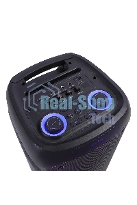 Колонка ELTRONIC 10