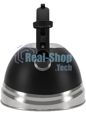 Чайник для плиты металлический Rondell Walzer RDS-1827 2.7 л. черный