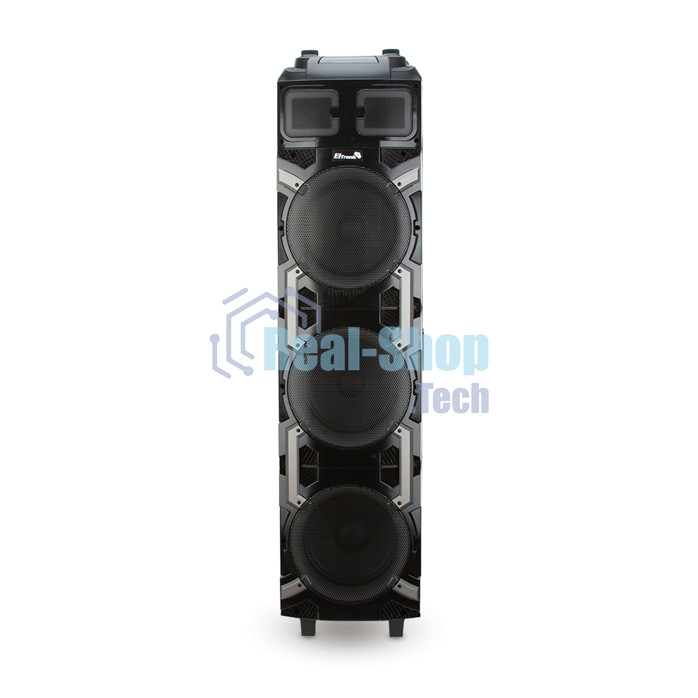 Колонка ELTRONIC 10