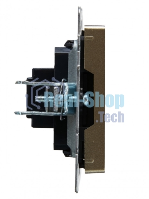 Розетка HDMI IEK BRITE РHDMI-0-БрШ шампань
