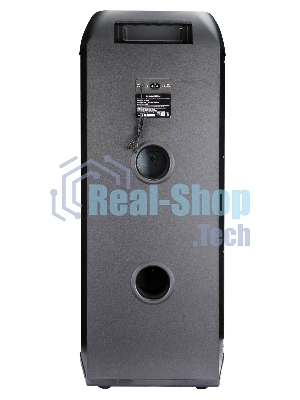 Акустическая система RUIMATECH VA-7306