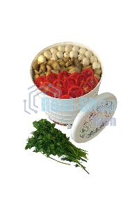 Сушилка для овощей и фруктов Renova DVN31-500/5(R)