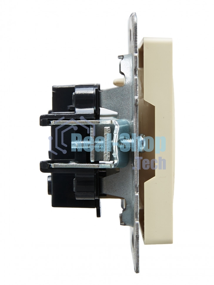 Розетка 1-местная IEK BRITE РС10-1-0-БрКр (BR-R10-10-K10) 10А, без заземления, без защитных шторок, бежевый