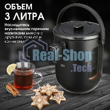 Термопот BQ TP314 черный, Мощность 1450 Вт, Объем 3 л, 6 температурных режимов, Электрическая помпа