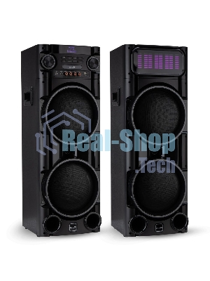 Колонка Eltronic 08