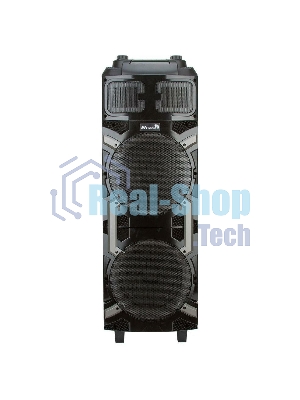 Колонка ELTRONIC 10