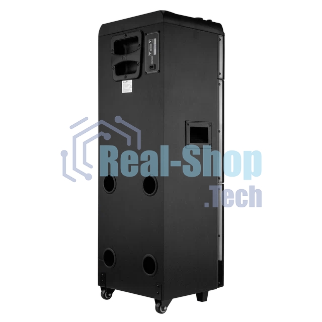 Колонка ELTRONIC (20-22) SKILLETS BOX 2500 - 10 