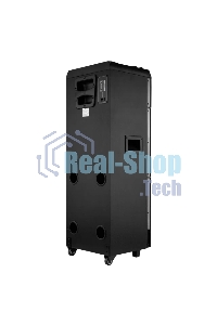 Колонка ELTRONIC (20-22) SKILLETS BOX 2500 - 10 