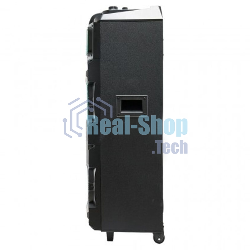 Колонка ELTRONIC 10