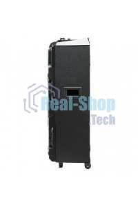 Колонка ELTRONIC 10