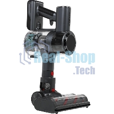 Пылесос ручной Red Solution V3060 250Вт черный/серый