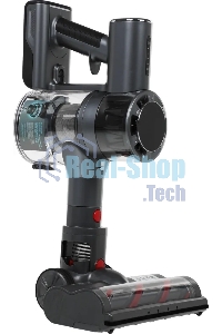 Пылесос ручной Red Solution V3060 250Вт черный/серый