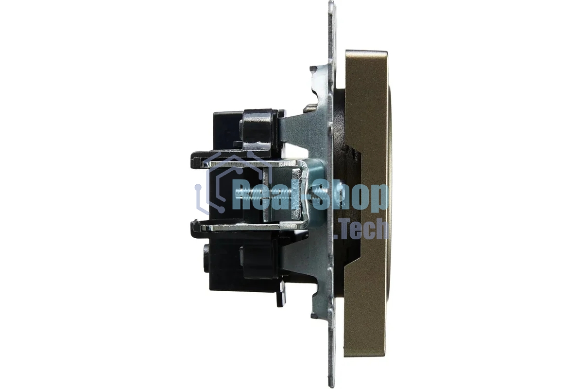 Розетка 1-местная IEK BRITE РС10-1-0-БрШ (BR-R10-10-K37) 10А, без заземления, без защитных шторок, шампань