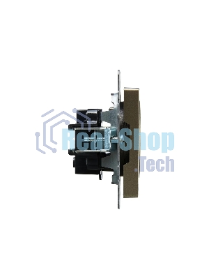 Розетка 1-местная IEK BRITE РС10-1-0-БрШ (BR-R10-10-K37) 10А, без заземления, без защитных шторок, шампань