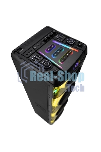 Колонка ELTRONIC (20-22) SKILLETS BOX 2500 - 10 