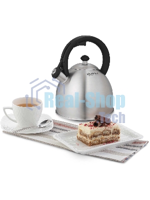 Чайник для плиты металлический Rondell Cassia RDS-1886 3.0 л. стальной