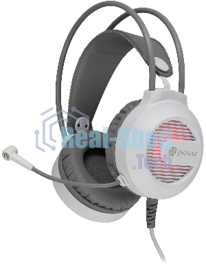 Гарнитура проводная с микрофоном Оклик HS-L300G White белый 2.2м мониторные USB оголовье (1796952)