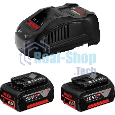 Батарея аккумуляторная Bosch 1600A00B8J 18В 5Ач Li-Ion (З/У в компл.)