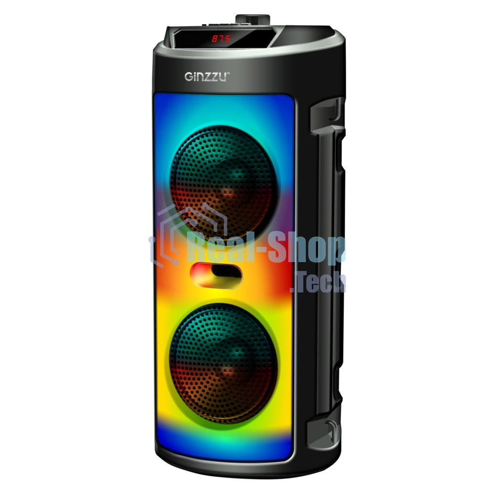 Акустическая система Midi GM-231 TWS/BT/USB/TF/FM/ДУ черный