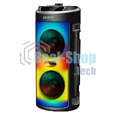 Акустическая система Midi GM-231 TWS/BT/USB/TF/FM/ДУ черный