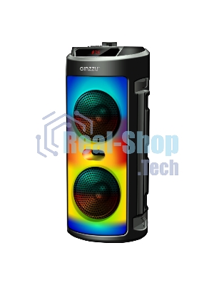 Акустическая система Midi GM-231 TWS/BT/USB/TF/FM/ДУ черный