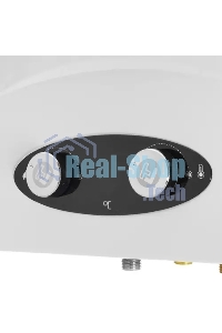 Колонка газовая Thermex G 20 D Eco белый